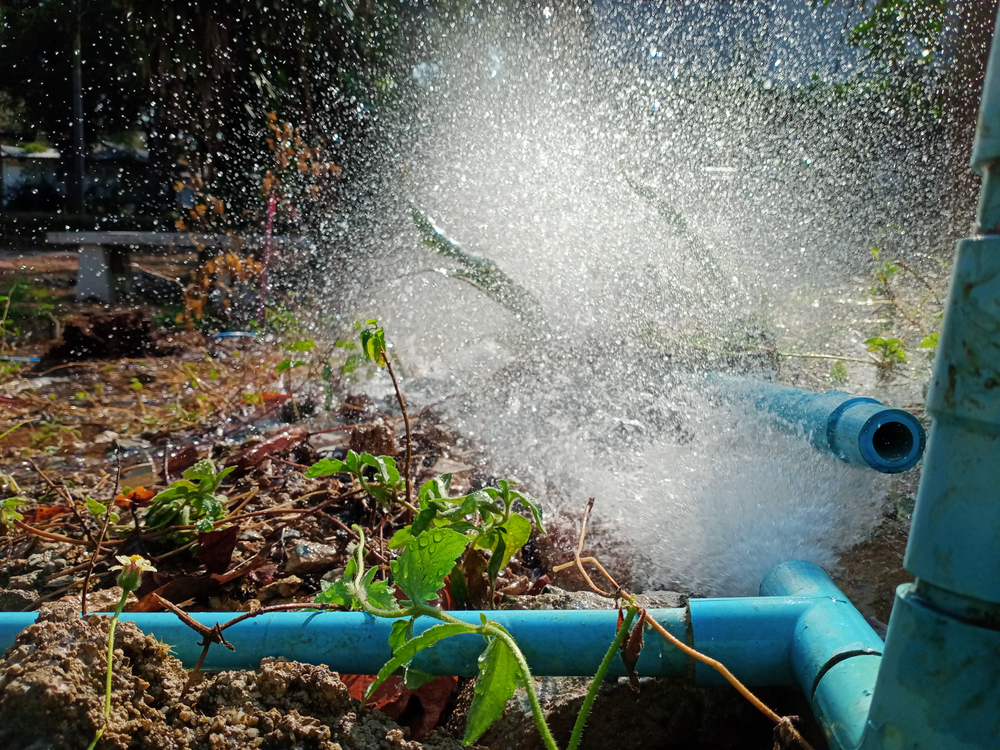 What to Expect: The Process and Cost of Water Line Repair Services